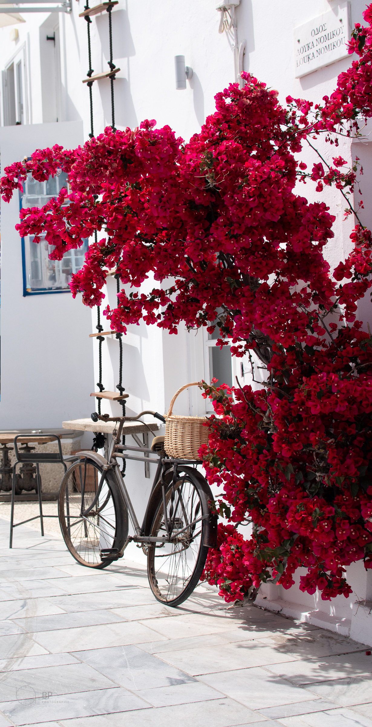 Bougainvillea and bicycle